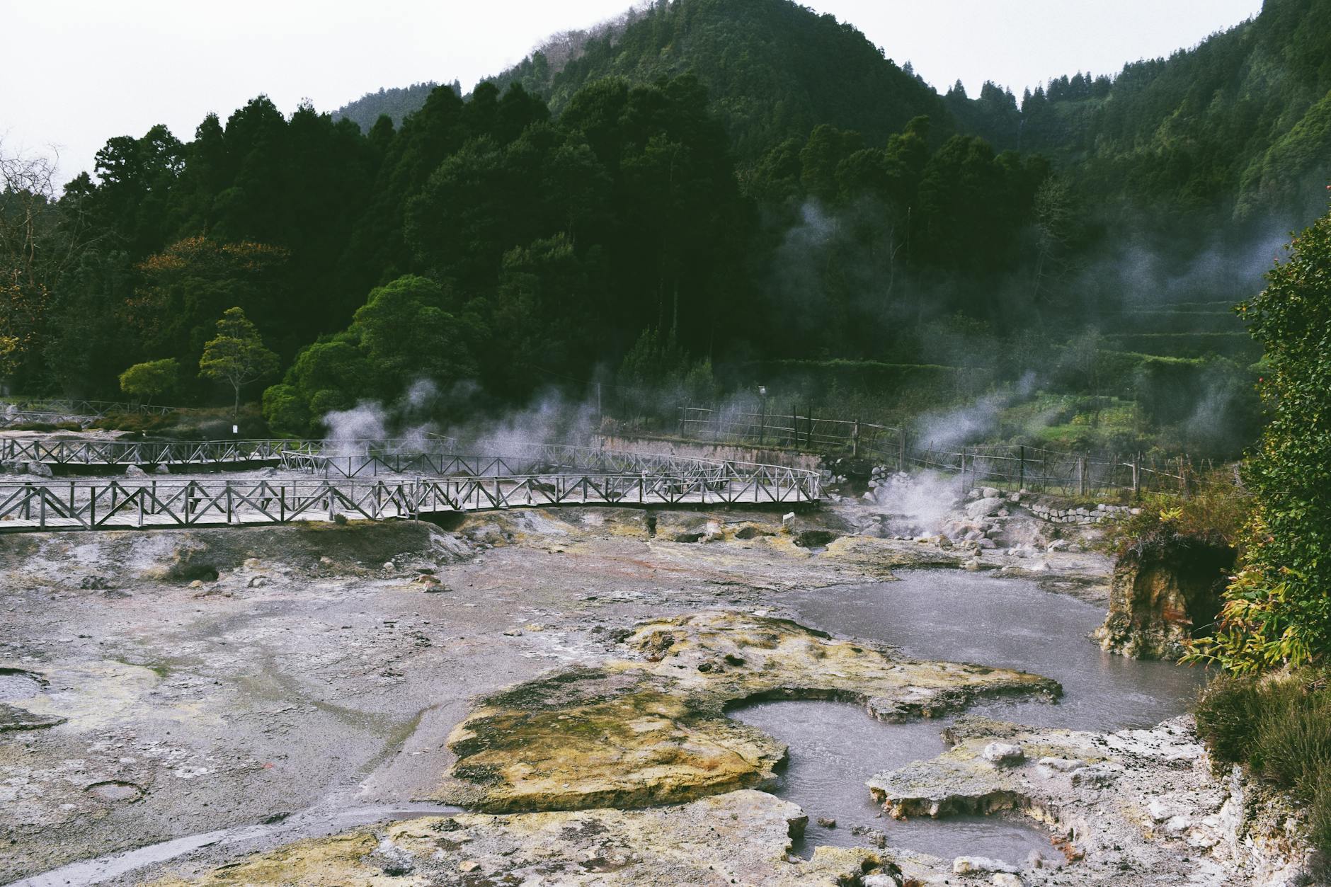 Steam rises from the geothermal landscape with a wooden bridge in Terra Nostra Park, Açores.